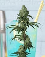 Blue Limeade 3.5g