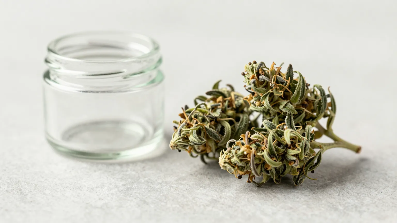 How Can You Tell If Weed Is Good Quality?