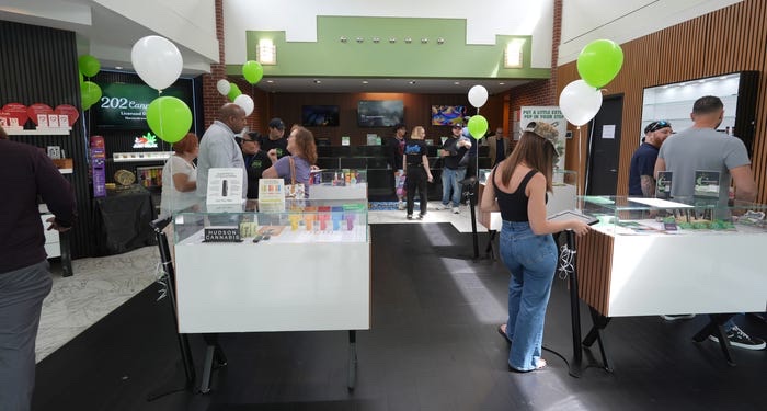202 Cannabis CO. photo 2