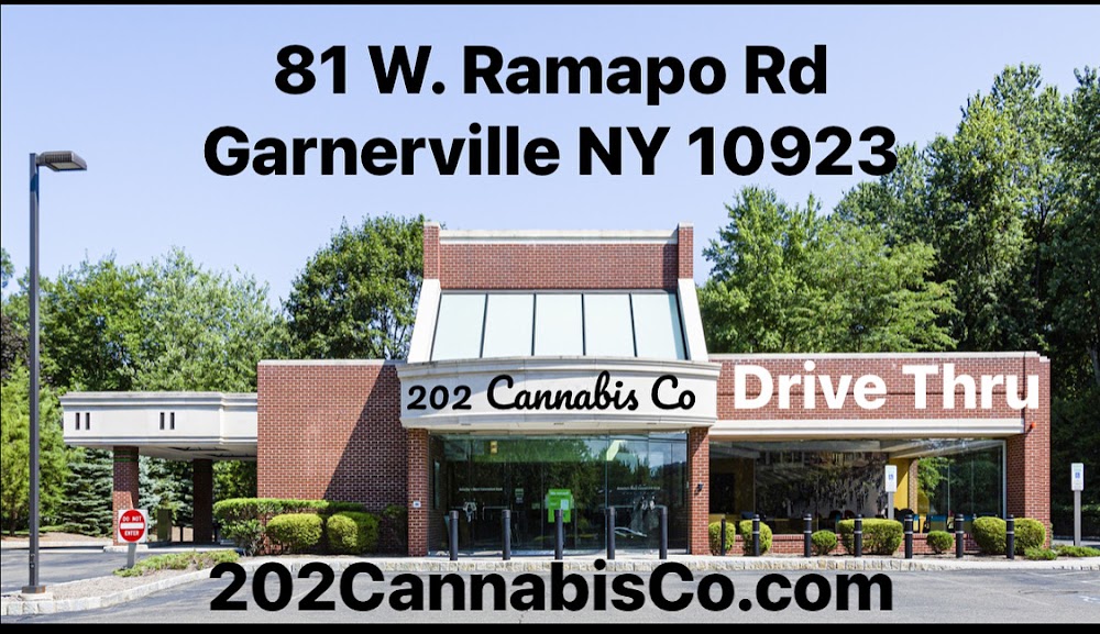 202 Cannabis CO. photo 7