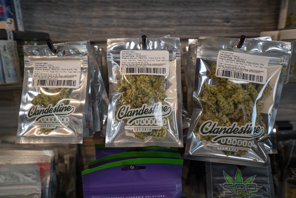 365 Recreational Cannabis photo 6
