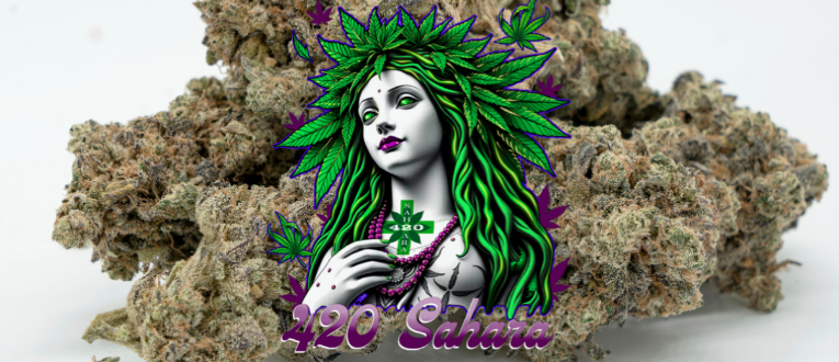 420 Sahara photo 3