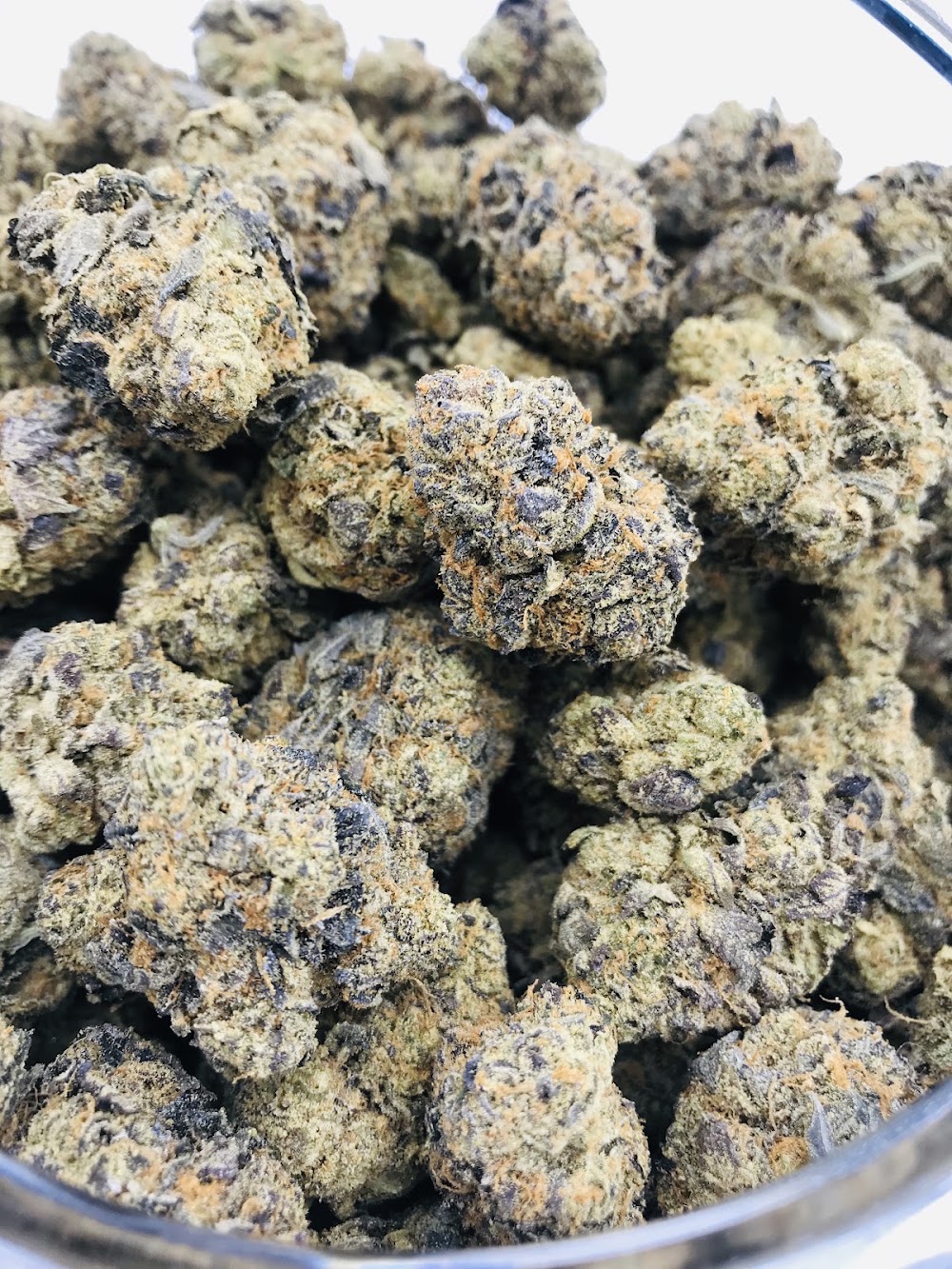 420ville photo 3