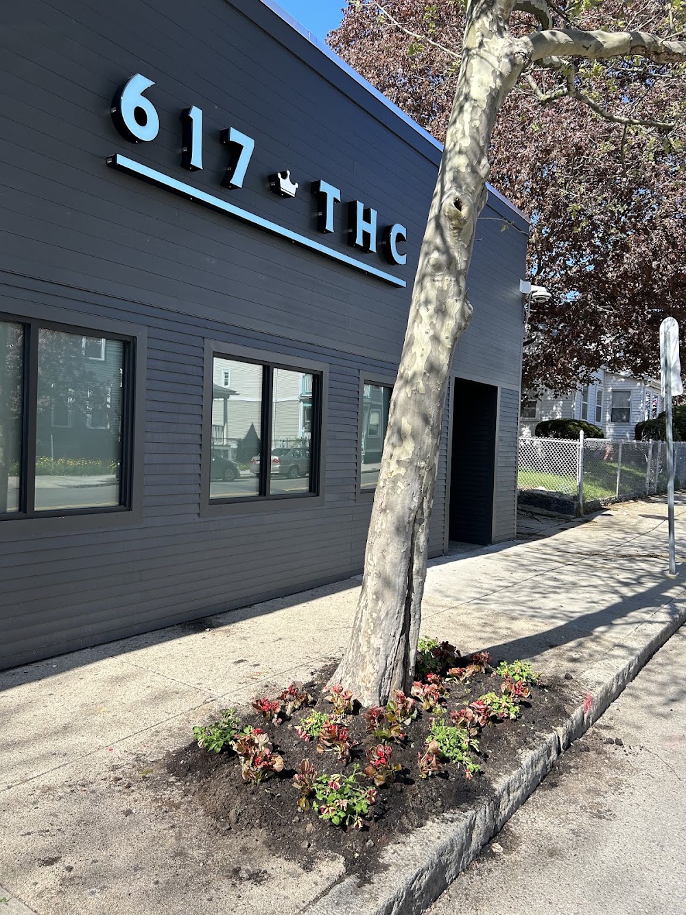 617 Therapeutic Health Care photo 3
