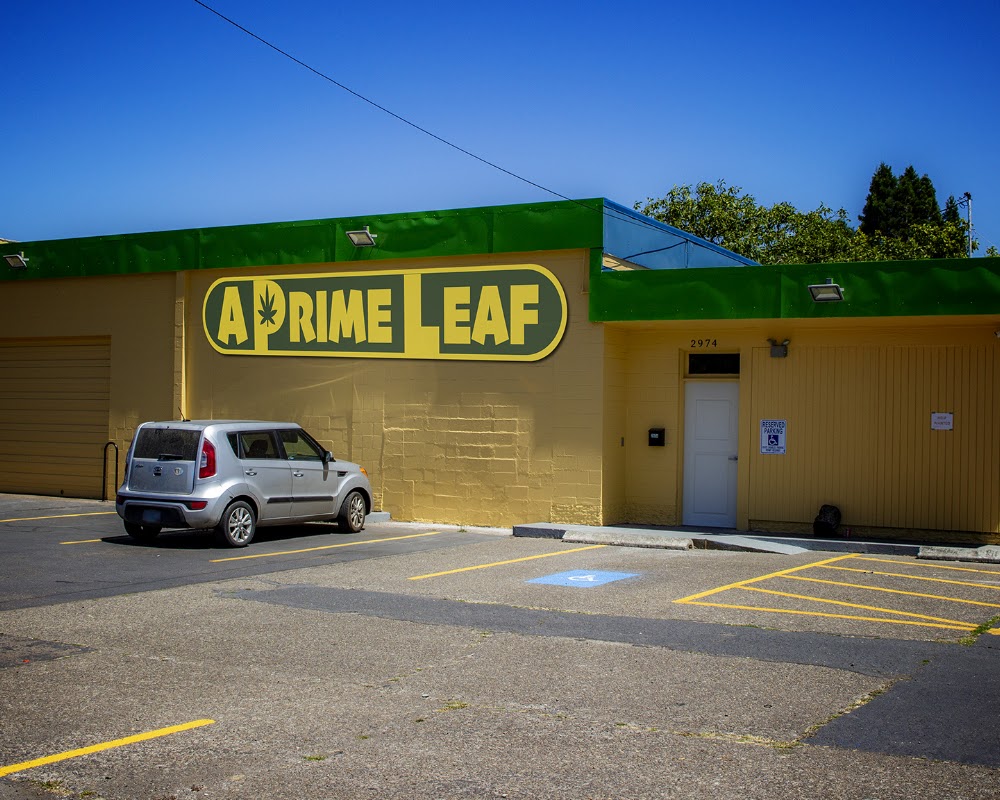 A Prime Leaf photo 1