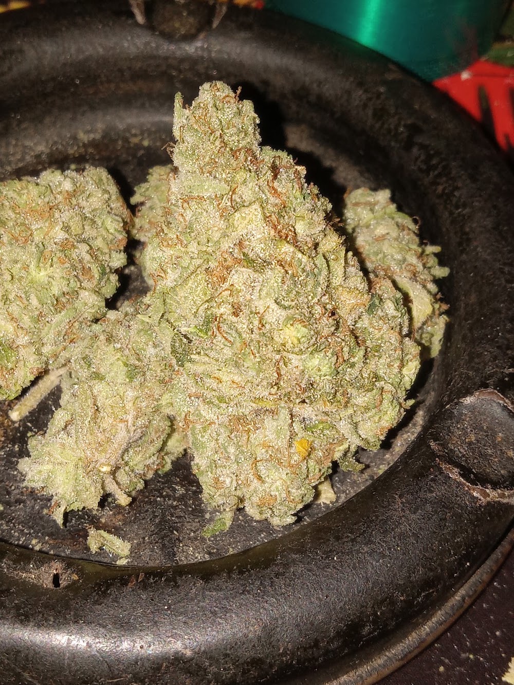 Aaa Pharmaceutical Alternatives photo 5