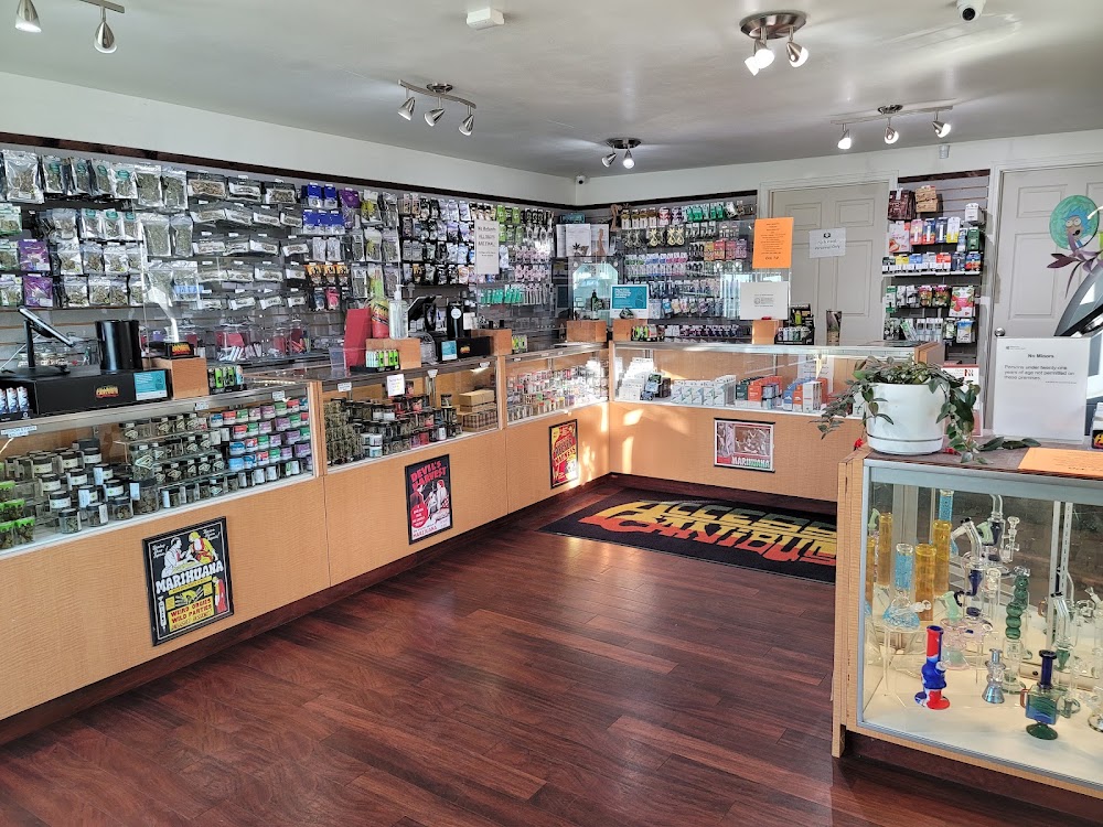 Access Canibus photo 5
