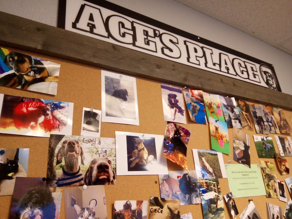 Aces Place photo 1