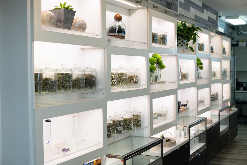 Alaska Cannabis Exchange photo 4