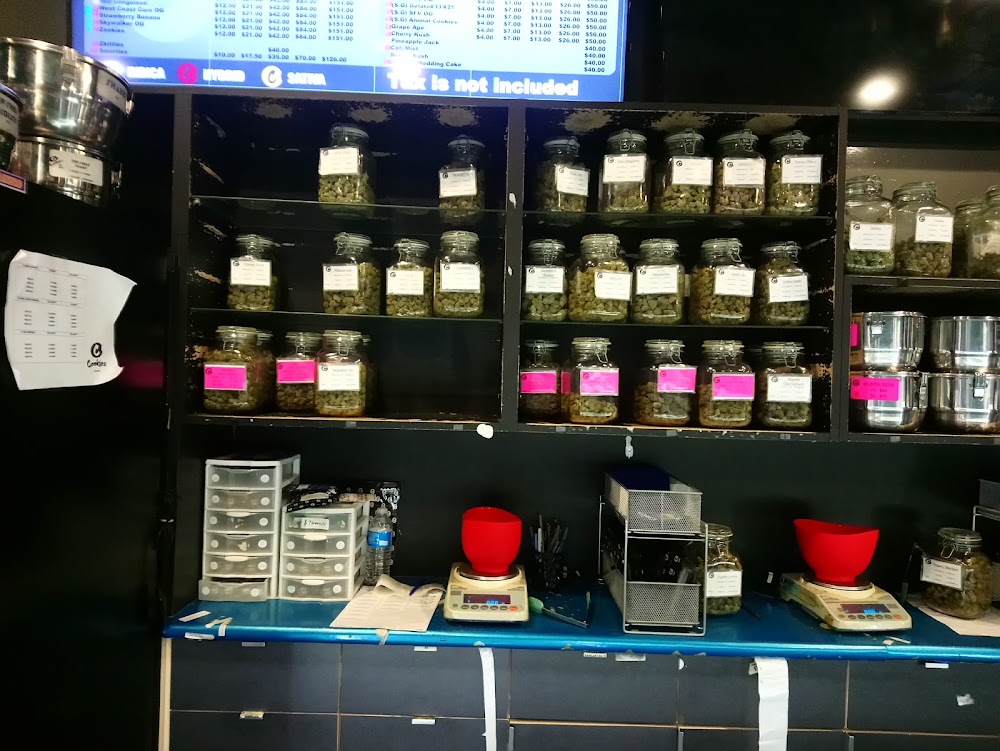 Alien Labs Area 41 photo 7