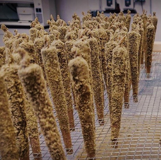 Altitude East photo 5