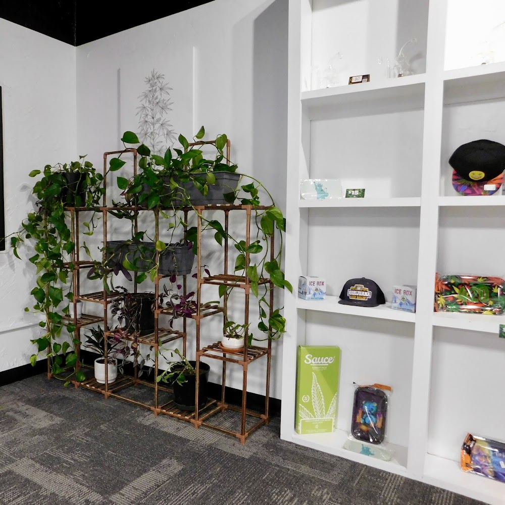 American Cannabis Company - Enid - Drive Thru photo 7