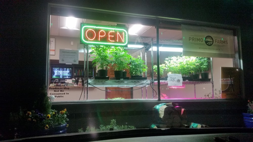 American Cannabis Company photo 4