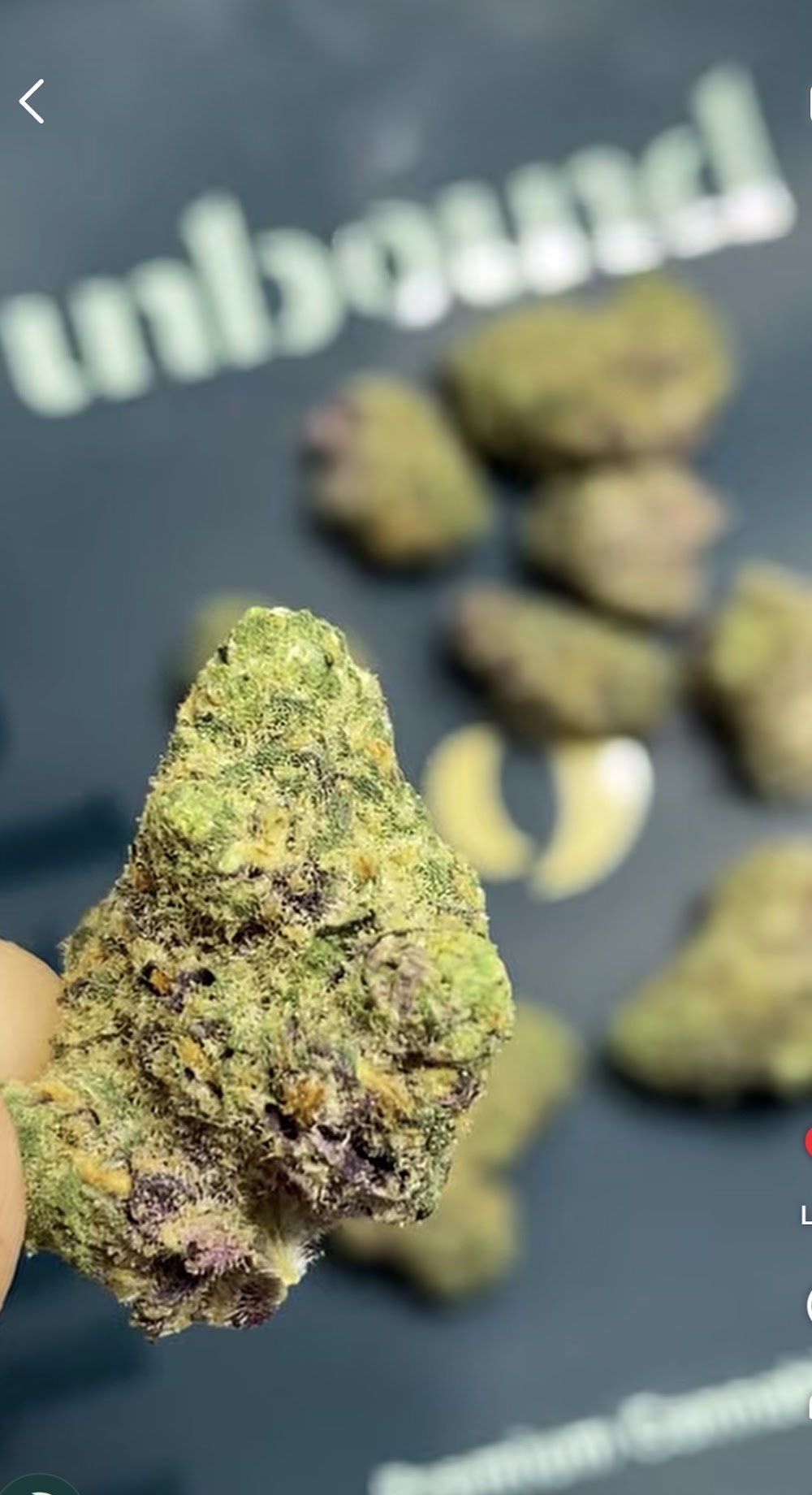 American Made Cannabis photo 5