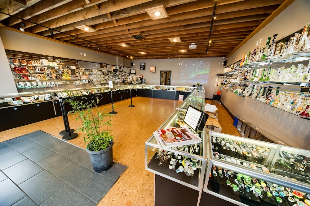 American Mary photo 3