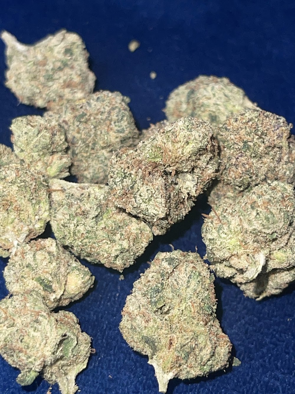 Amigos Cannabis - Rio Rancho photo 7