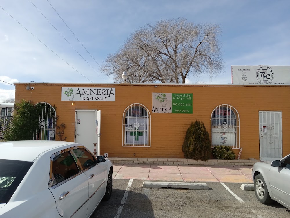 Amnesia Dispensary - San Mateo photo 1