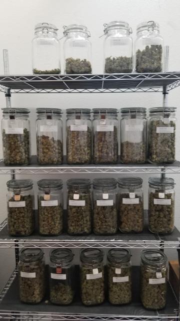 Amnesia Dispensary - San Mateo photo 4