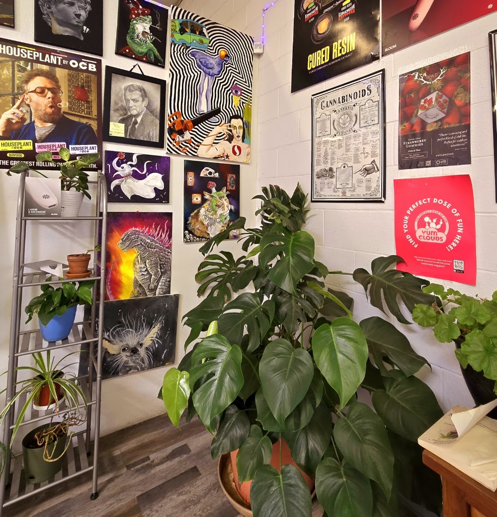 Amnesia Dispensary - San Mateo photo 7