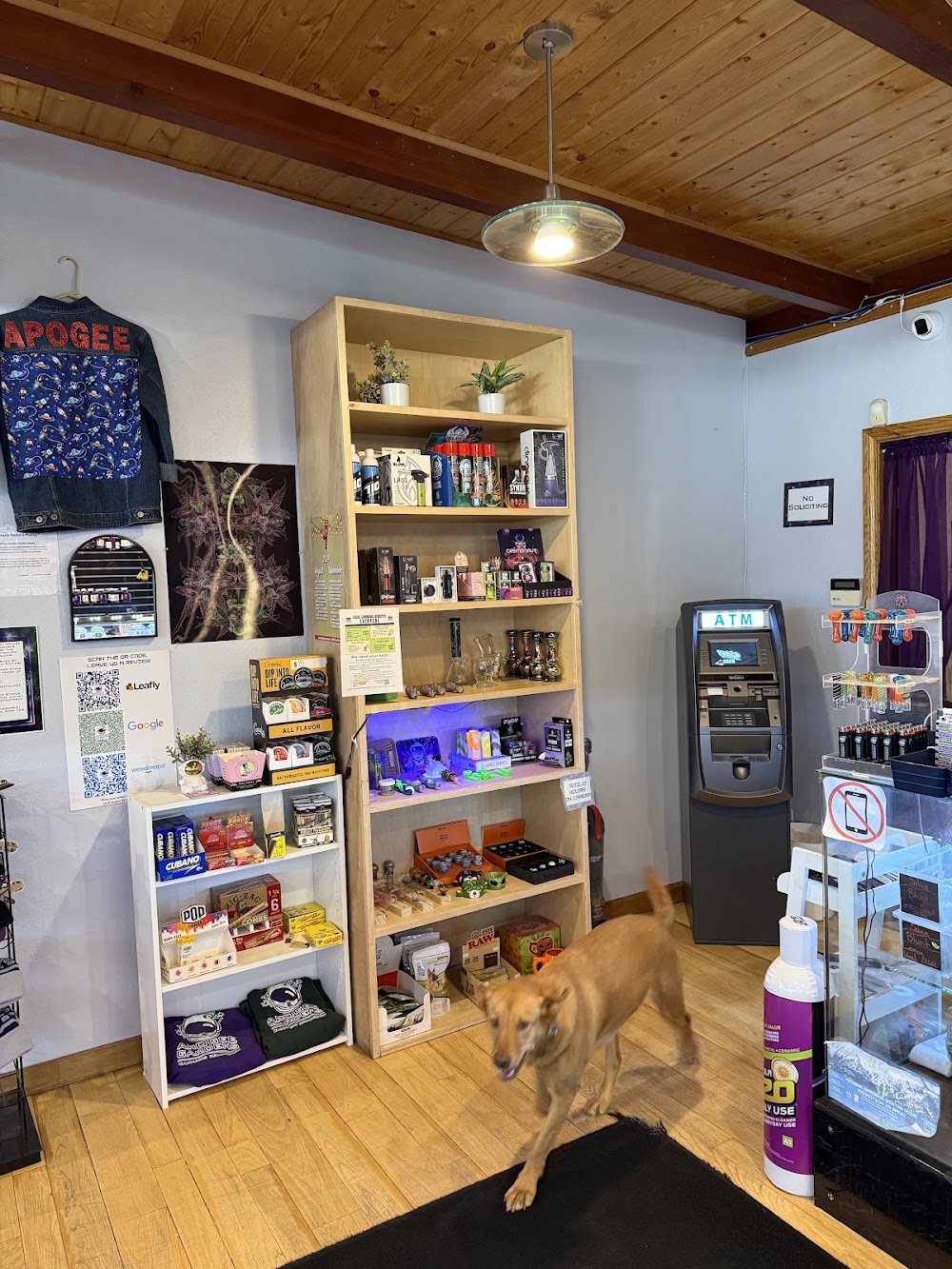 Apogee Gardens Bozeman Dispensary photo 4