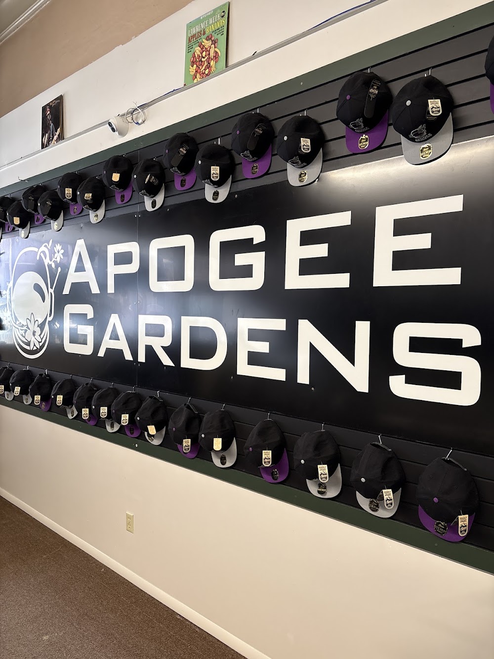 Apogee Gardens photo 5