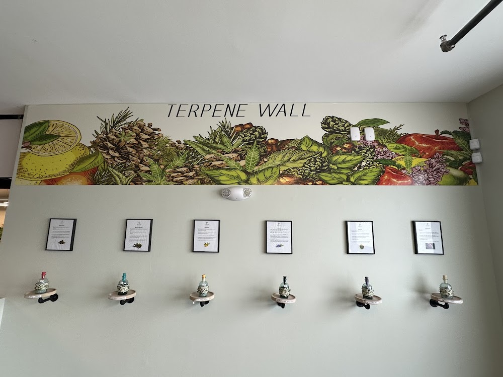 Apotho Therapeutics Plainville photo 8