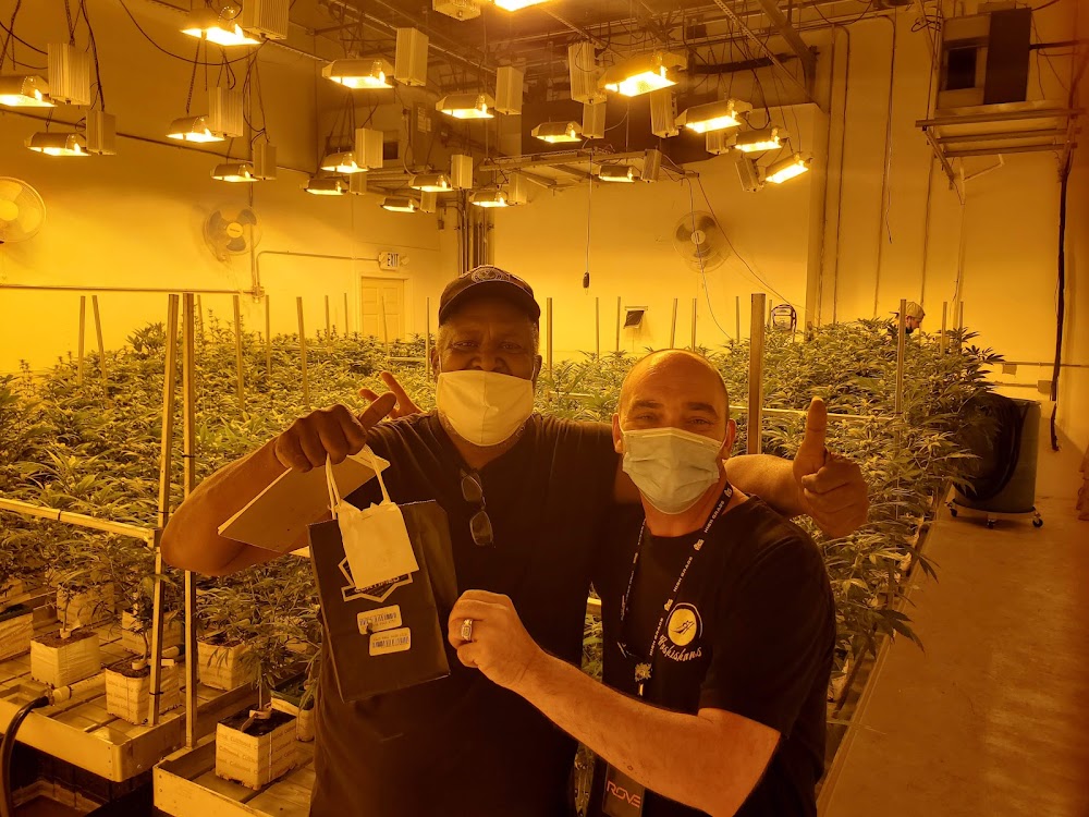 Arizona Cannabis Society photo 2