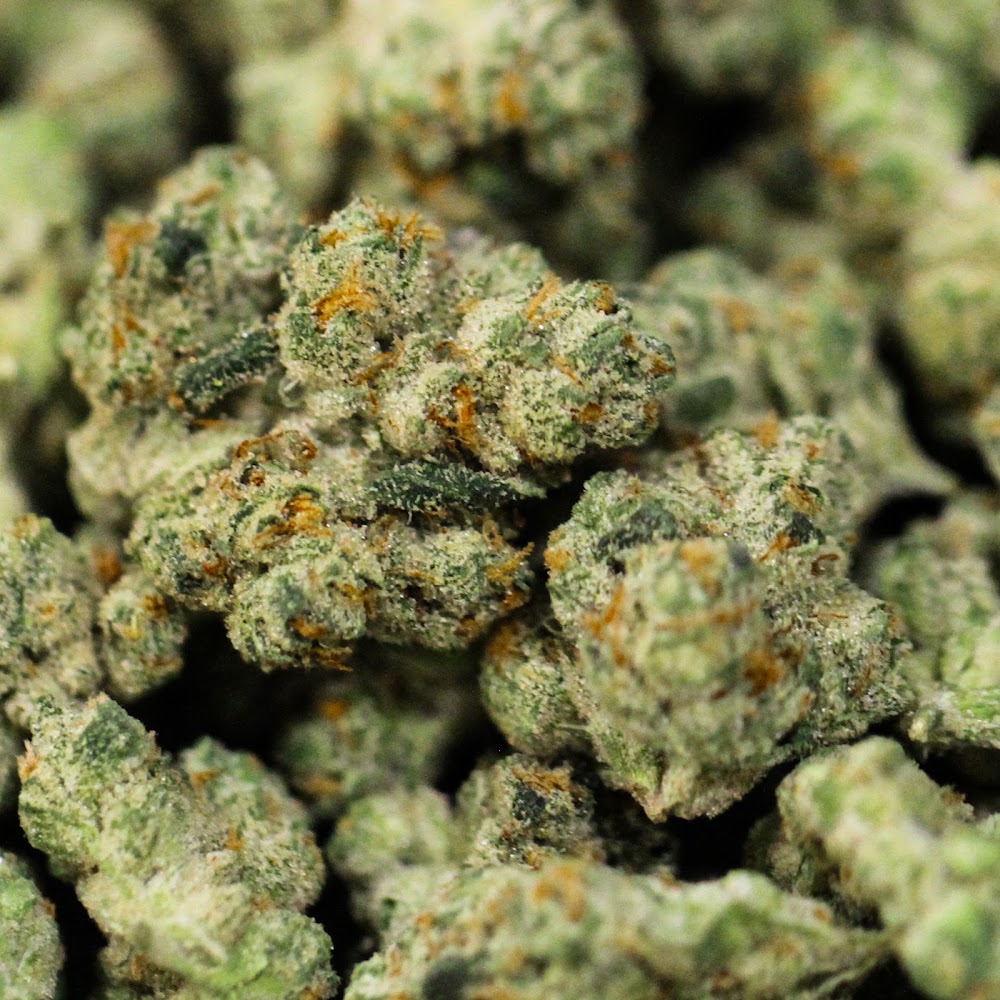 Ascend Cannabis CO. photo 8