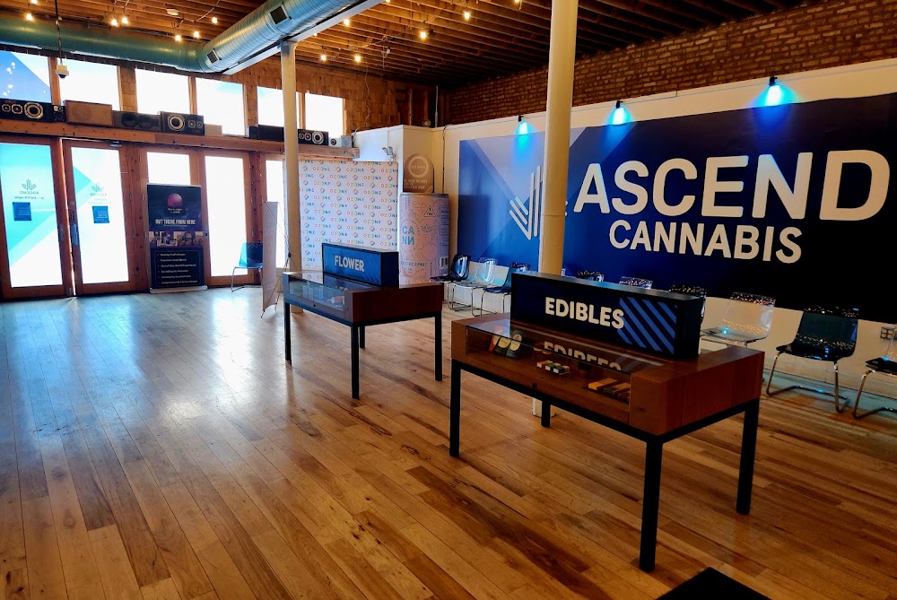 Ascend - Moca photo 6