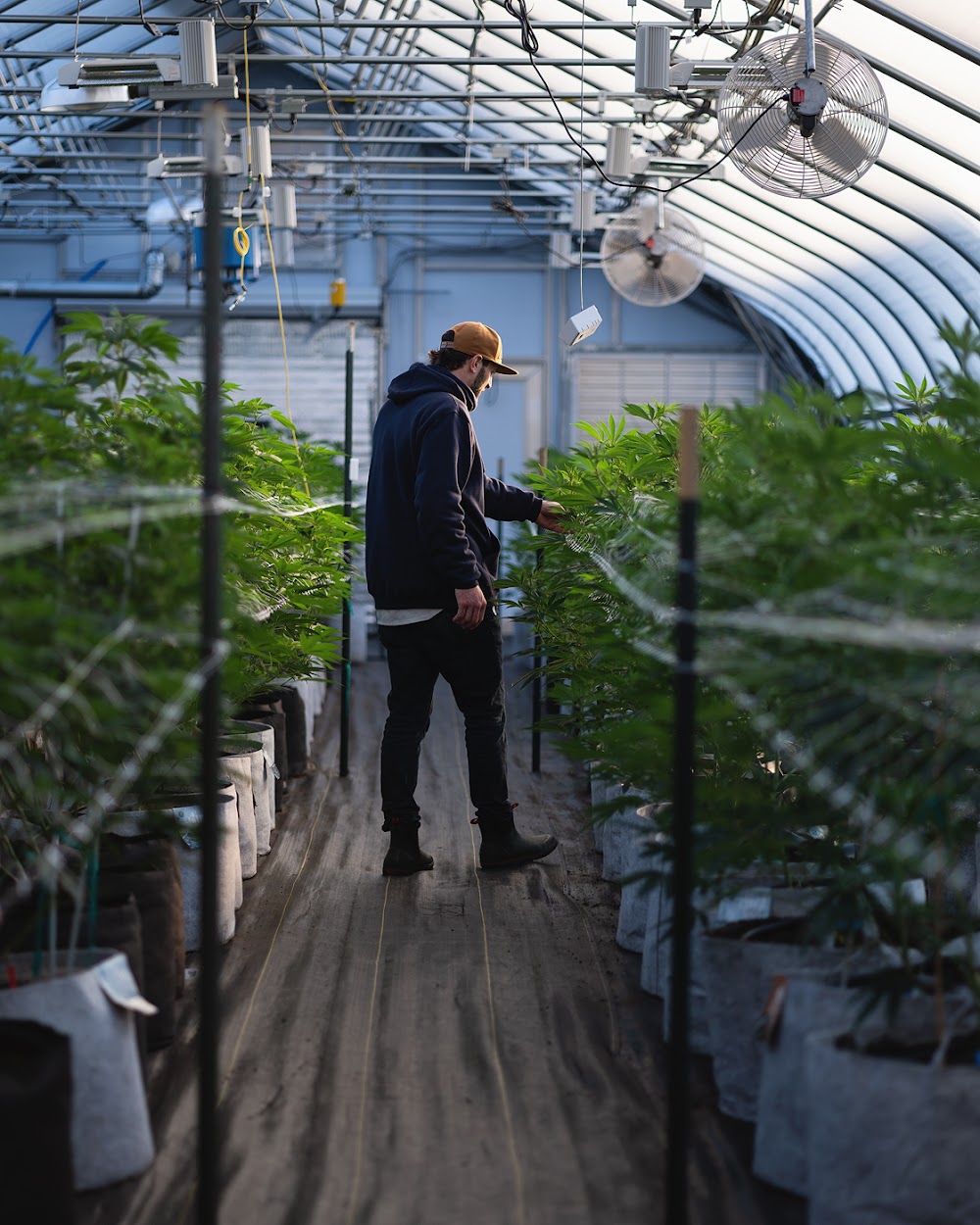 Atlantic Farms photo 6
