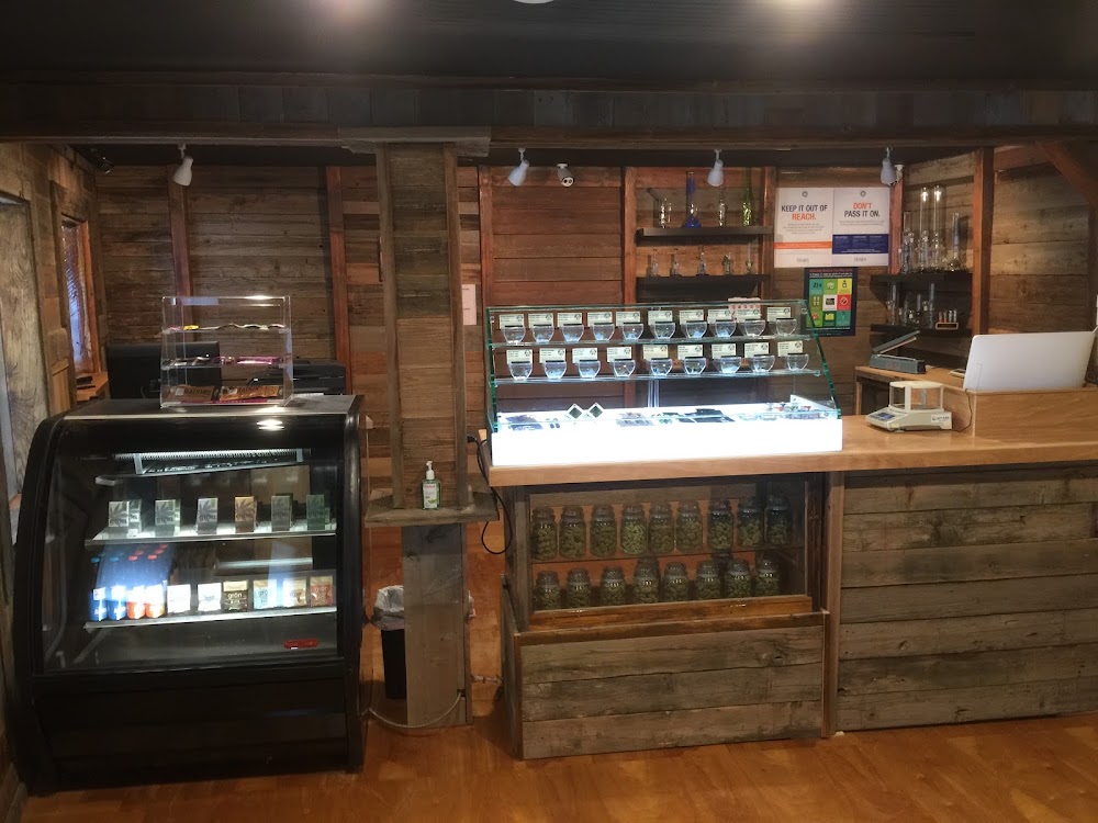 Attis Trading Company photo 6