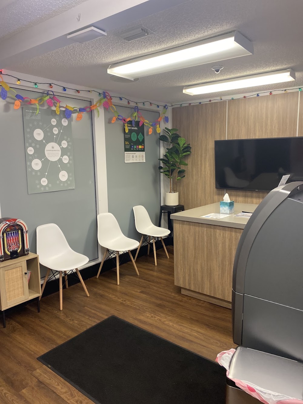 Ayr Cannabis Dispensary photo 1