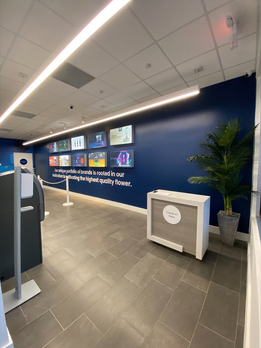 Ayr Cannabis Dispensary photo 6