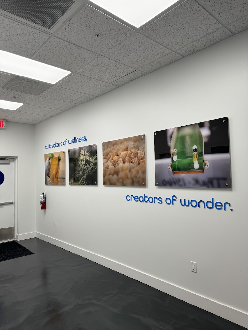 Ayr Cannabis Dispensary photo 8