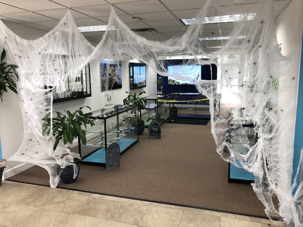 Ayr Cannabis Dispensary photo 2