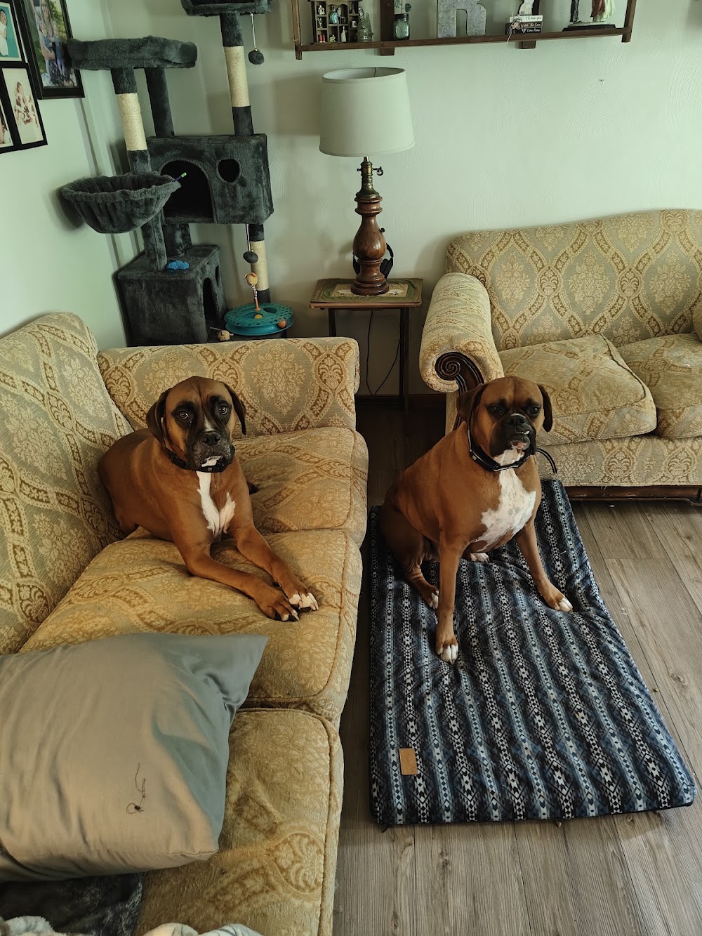 Ayr Wellness - Indiana photo 4