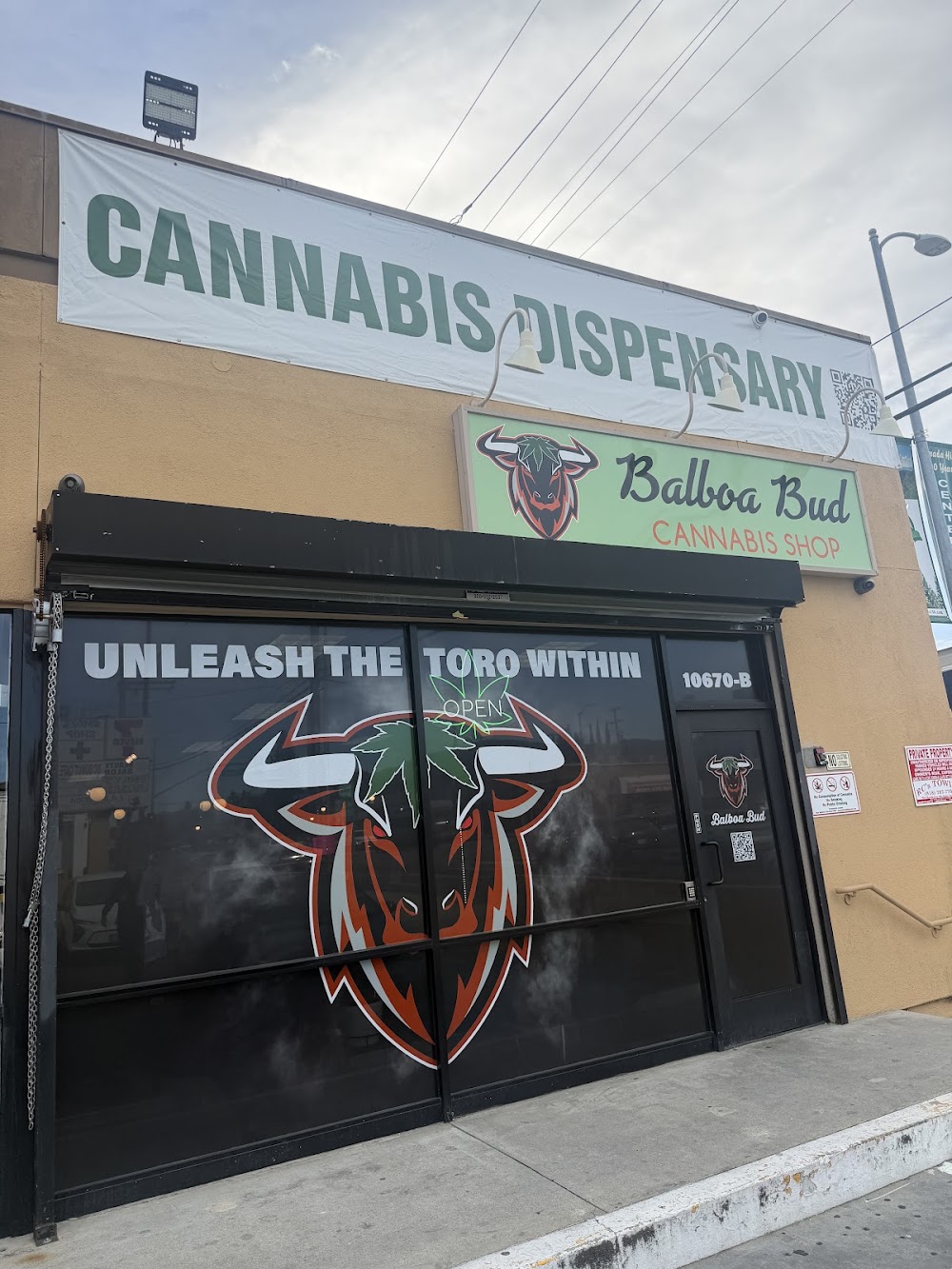 Balboa Bud photo 4