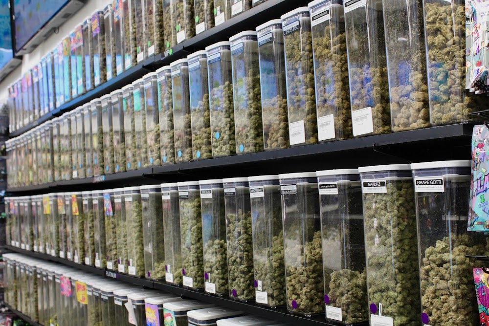 Bank Of Buds Cannabis CO. photo 3