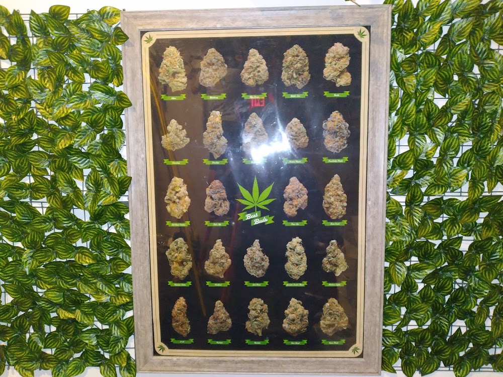 Bee's Buds Dispensary Wiggins photo 2