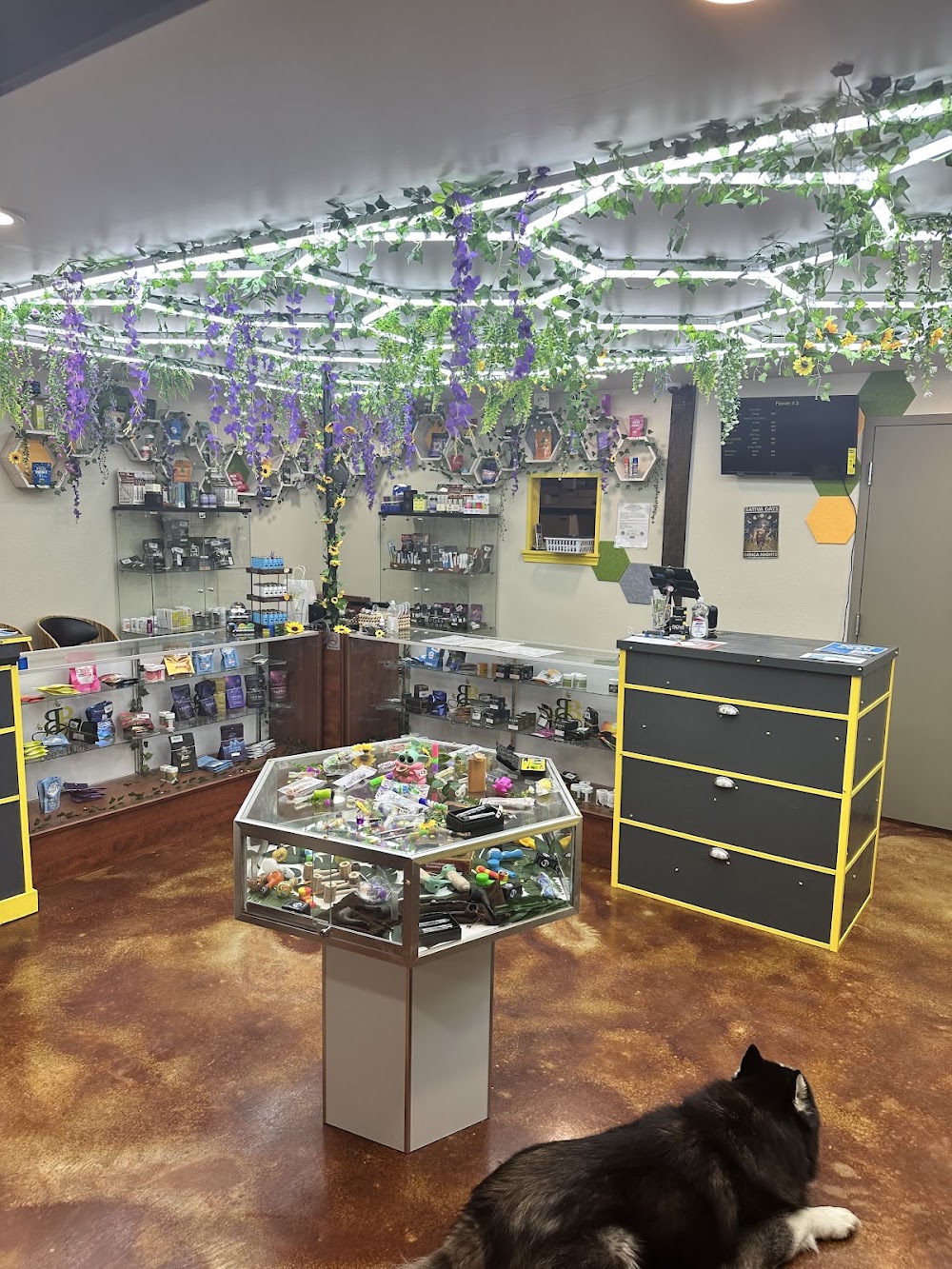 Bee's Buds Dispensary Wiggins photo 5