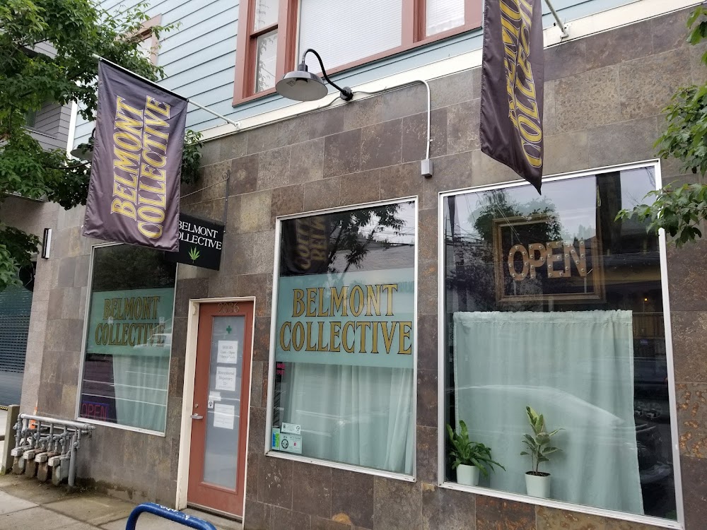 Belmont Collective photo 1
