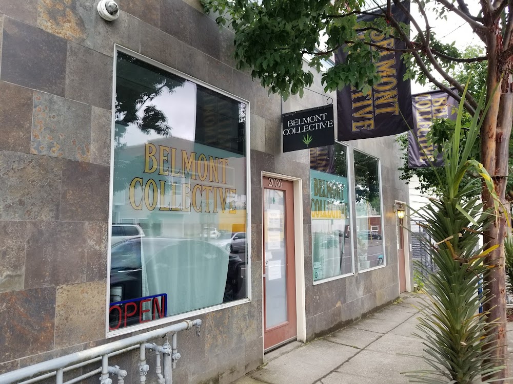 Belmont Collective photo 4