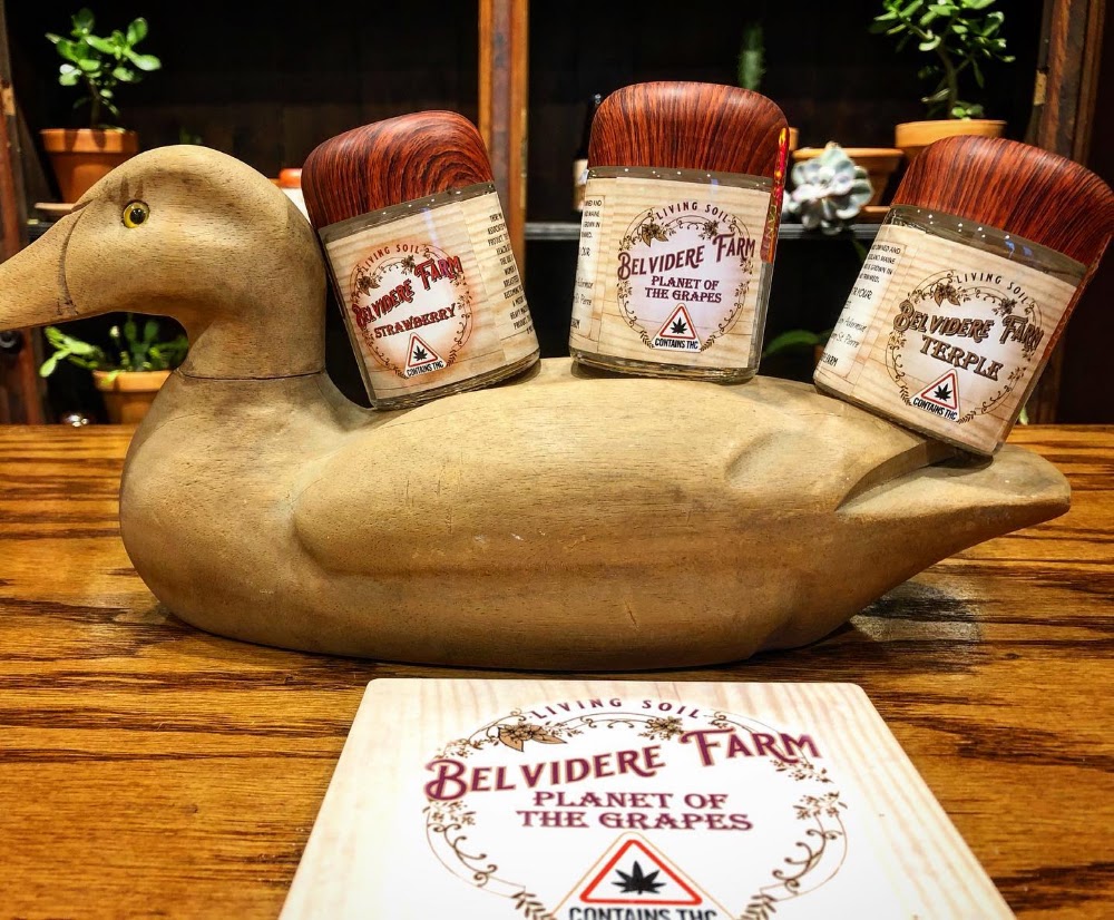 Belvidere Farmacy photo 7