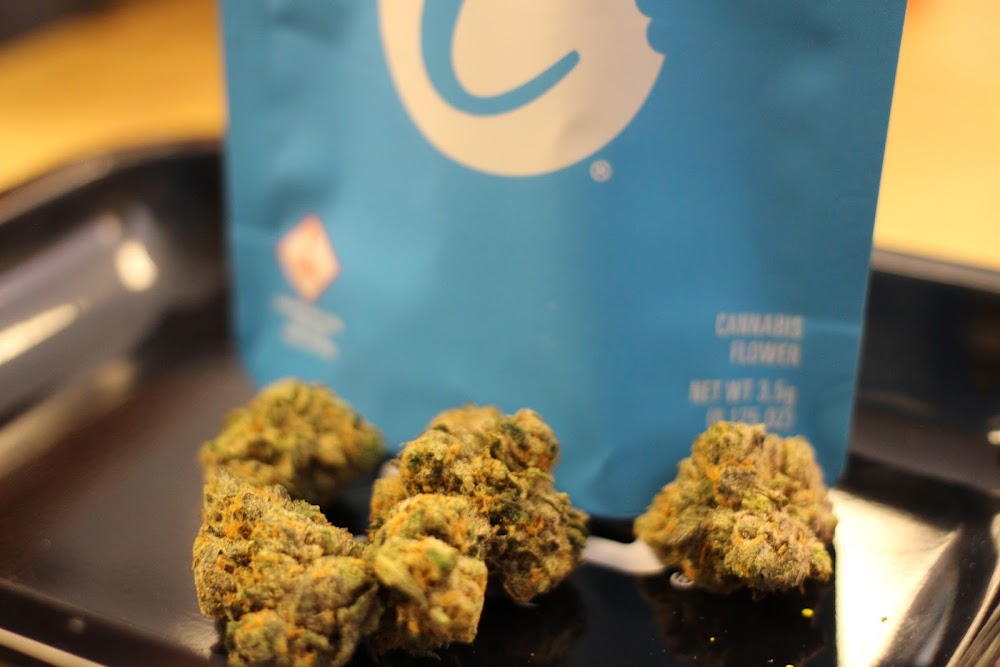 Berkeley Dispensary photo 6