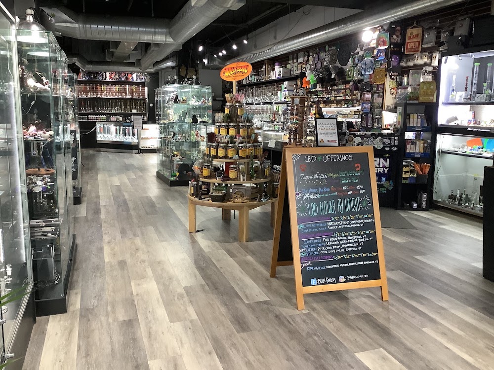 Bern Gallery Dispensary photo 3