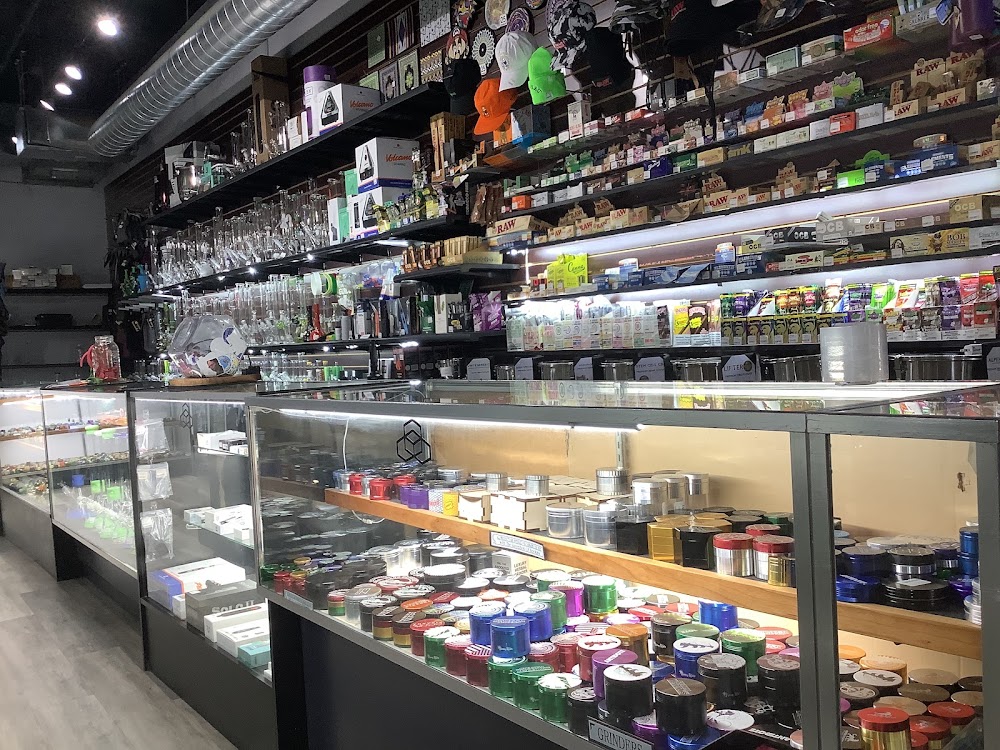 Bern Gallery Dispensary photo 6