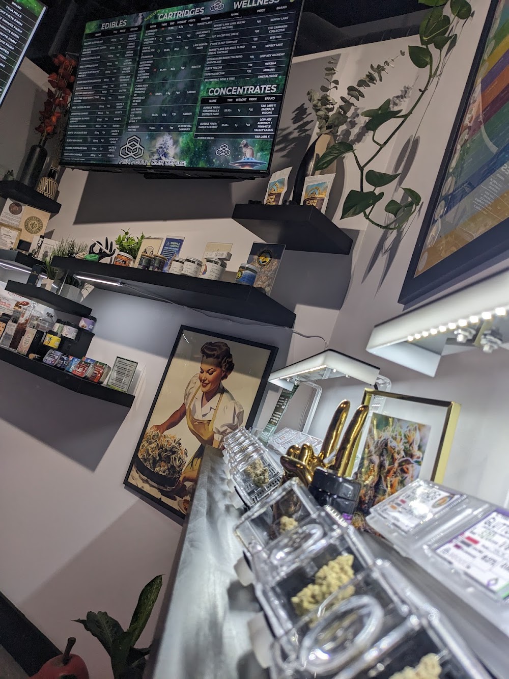 Bern Gallery Dispensary photo 7