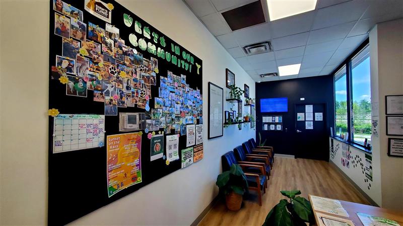 Besame Wellness Dispensary, Besame Wellness photo 4