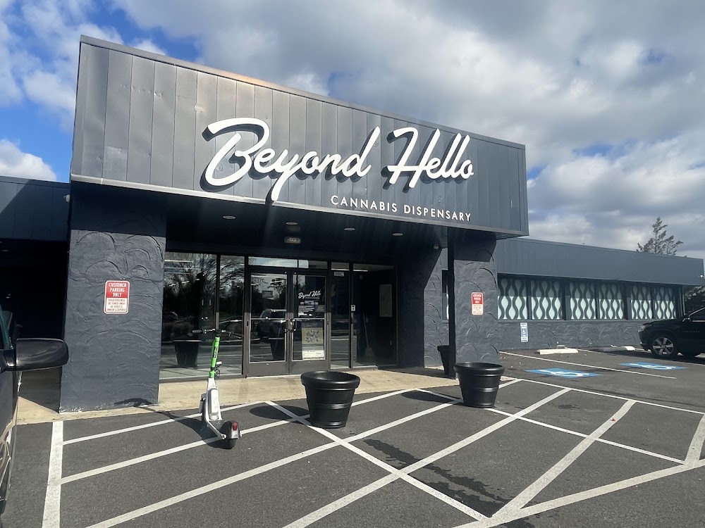 Beyond Hello Alexandria photo 4