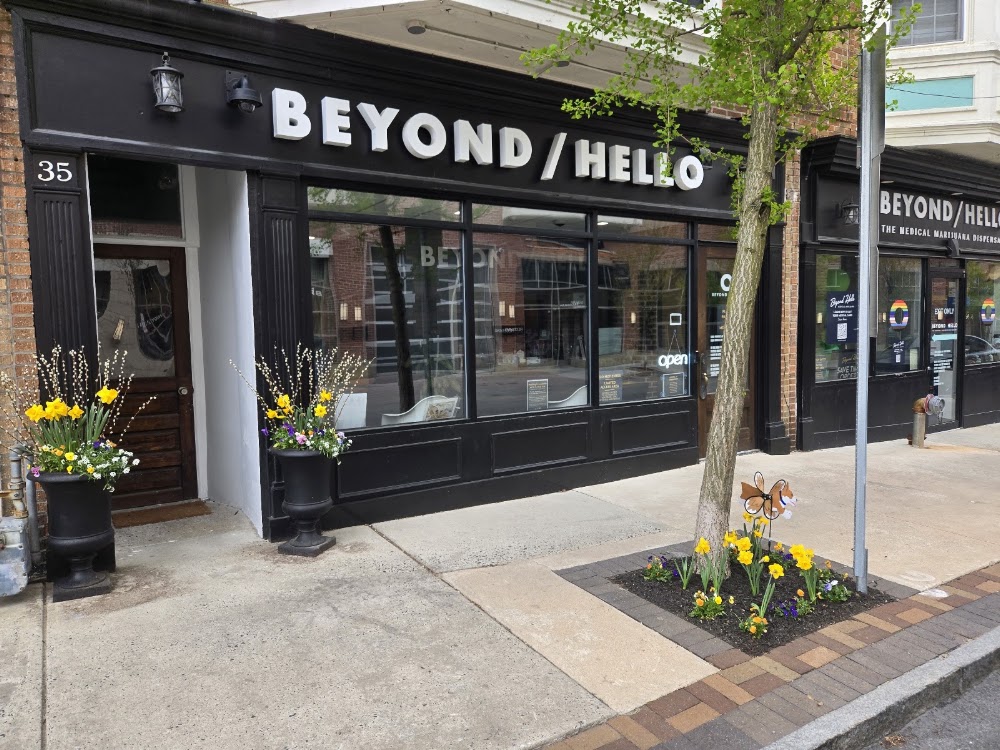 Beyond Hello - Ardmore photo 7